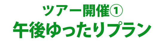 白骨温泉　午後ゆったりプラン